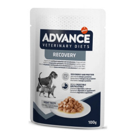 Advance Veterinary Diets Recovery per Cani e Gatti bst da 100 gr