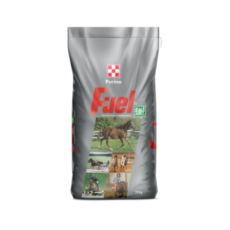 PURINA HORSE RIDER 25KG