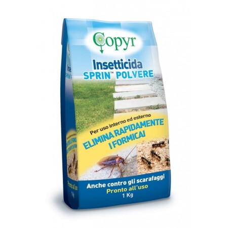 Copyr - Insetticida Pertrin Polvere 1Kg