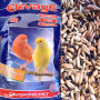 MANGIME CANARINI BASIC ELEVAGE 20kg